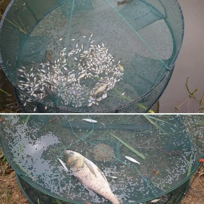 New Automatic Fishing Net Trap Cage Round Shape Durable Open For Crab Crayfish Lobster LMH66