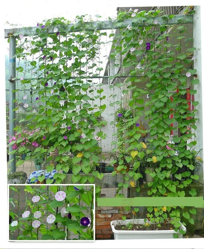 

0.9x1.8m Garden Netting Vine Plant Climbing Net Nylon Garden Mesh