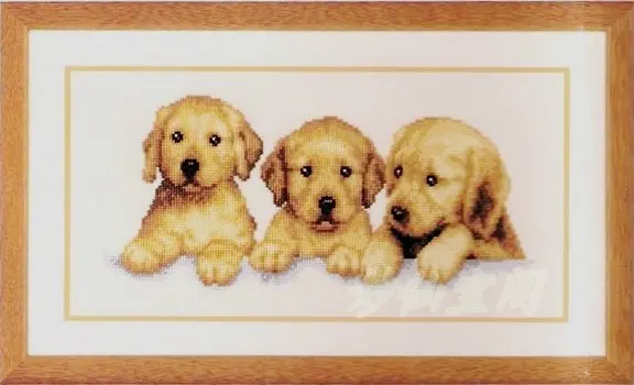 

40*23cm Needlework DIY Cross stitch,Set For Embroidery kit,3 Yellow Labrador Retriever dog animal pattern Cross-stitch Painting