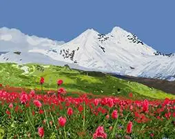 

Cioioil-T102 плато живопись по номерам пейзаж краски холст настенные картинки для гостиной