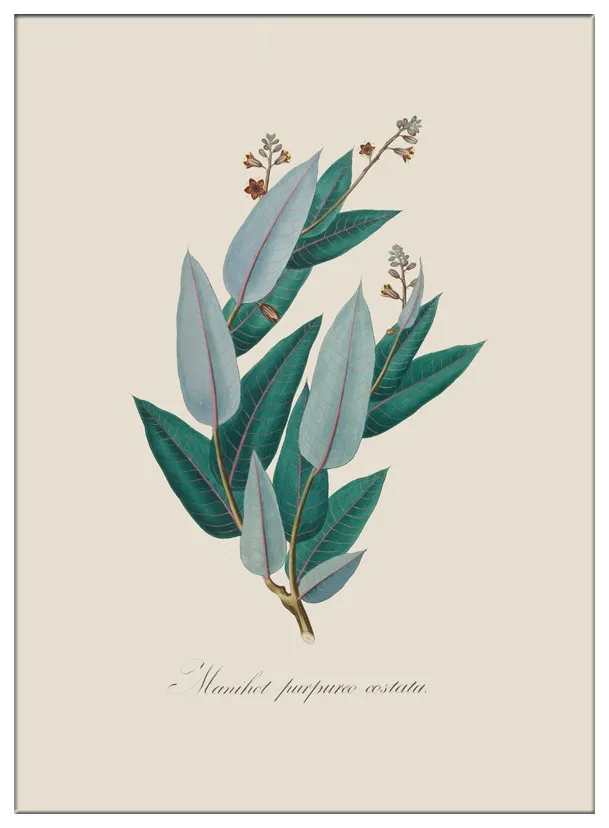 Тропические листья растений Холст Искусство Печать HD печать плакат современный