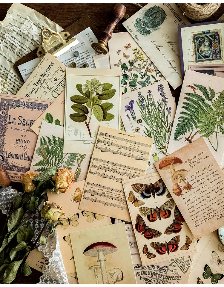 30sheet/pack Leaf Plant Postcard Mushroom Butterfly Plant Score Theme Vintage Collectible Greeting Card Set for Stationery Gift