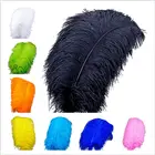 10 шт.лот, перышки страуса из натурального крашеного дерева, 40-45 см, вечерние, карнавальные, свадебные украшения