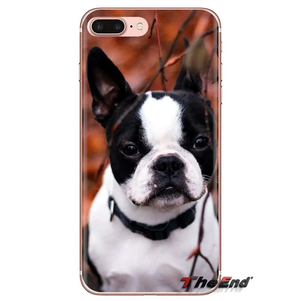 Для Xiaomi Redmi 4A S2 Note 3 3S 4 4X 5 Plus 6 7 6A Pro Pocophone F1 милый пес бостон терьер прозрачные мягкие чехлы.