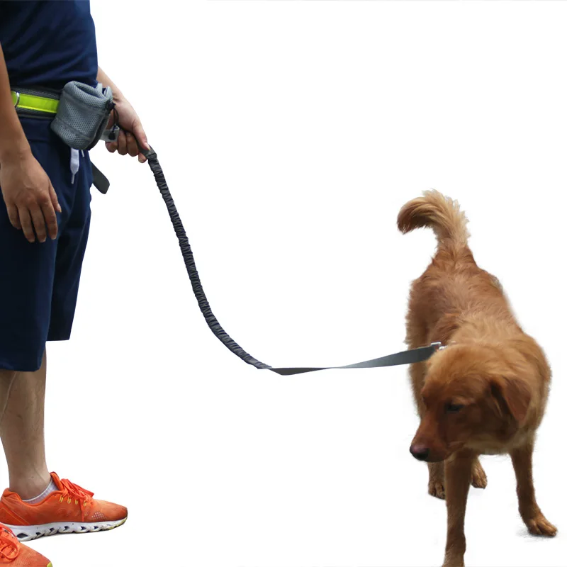 Эластичный пояс работает собаку поводок Спорт Бег Прогулки Pet воротник Веревка