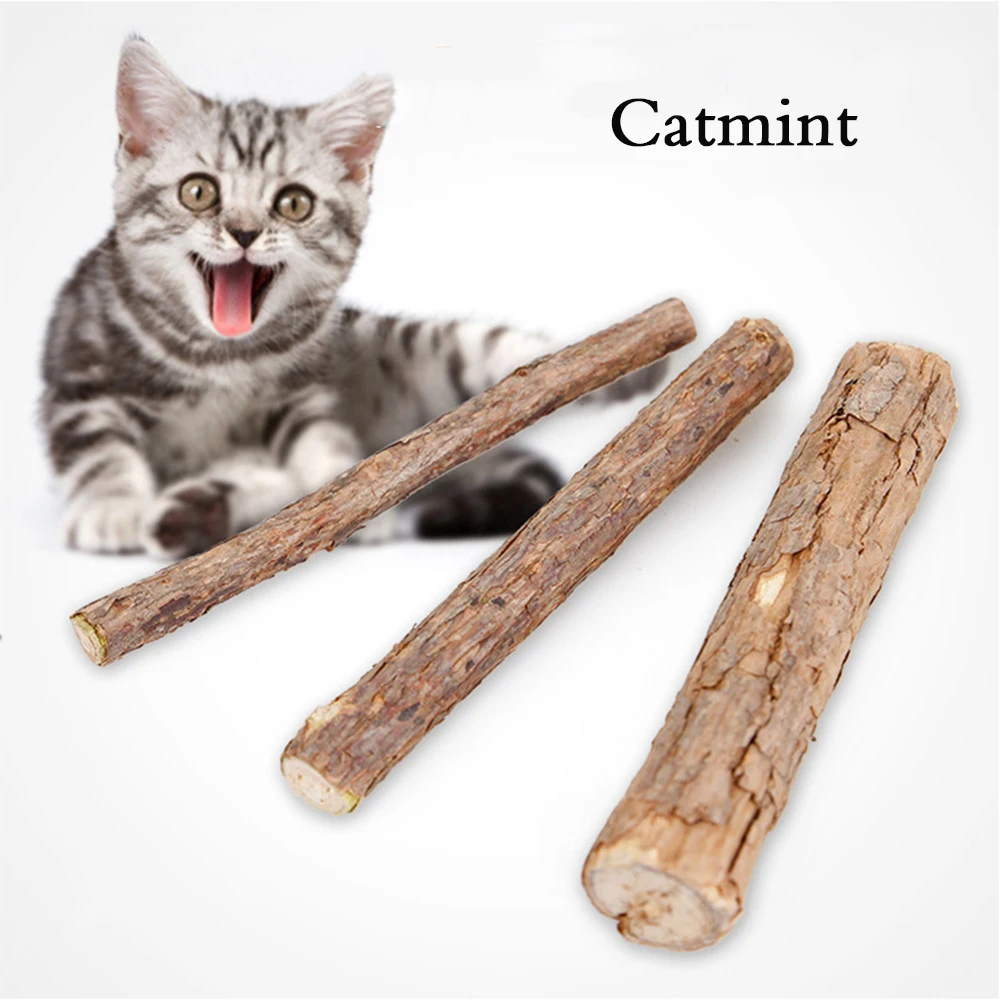 Catnip палочки 4 шт. Matatabi Cat Stick жевать Pet котенок тематические товары про рептилий и