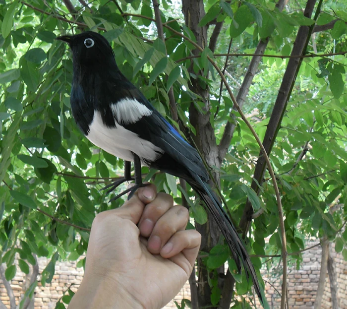 

about 30cm feathers Magpie bird plastic foam & feathers bird Handmade art model toy,prop,home bonsai decoration gift w5563