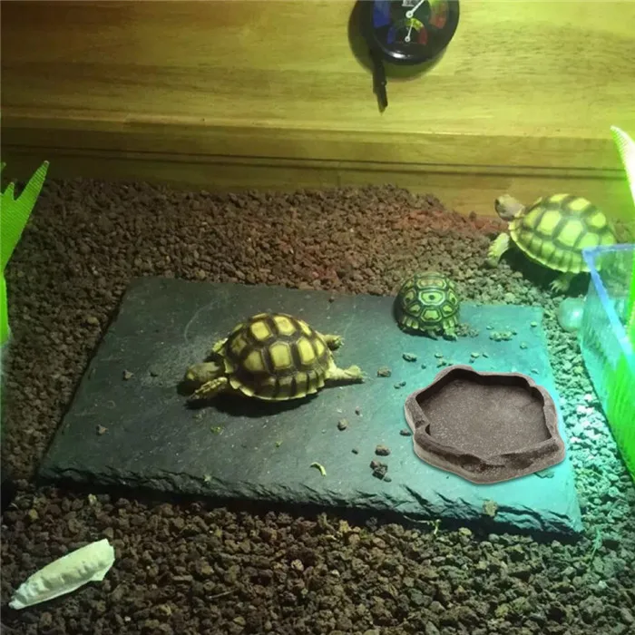 Saim Смола ПЭТ лоток подачи рептилий миска для еды черепаха питательная пластина