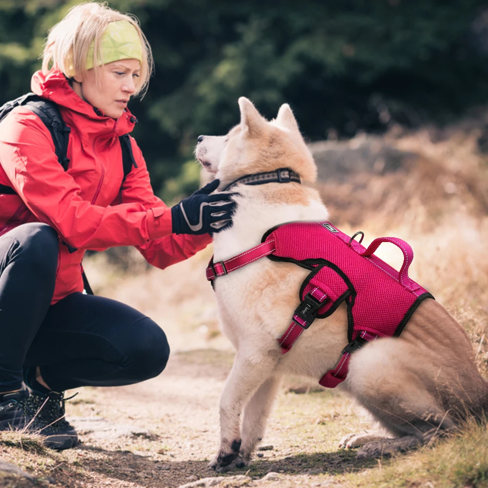 Didog нейлоновая сетка поводок для собак светоотражающий быстрый контроль средних и больших собак спортивный подтяжки для тренировок жилет для домашних животных M L