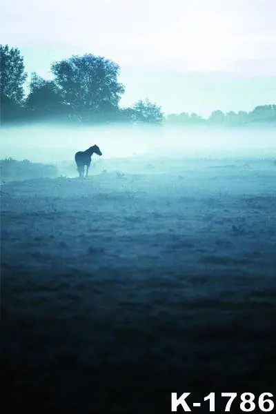 ЖИЗНЬ MAGIC BOX Тонкая Ткань Печатные Фотографии Фоном Винил Студия Фонов Ткани Fundos