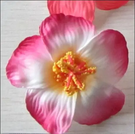 За дополнительную плату|fee| |