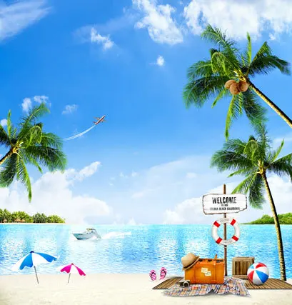 8x8ft самолет небо кокосовой пальмы песчаный пляж дорожного чемодана Море