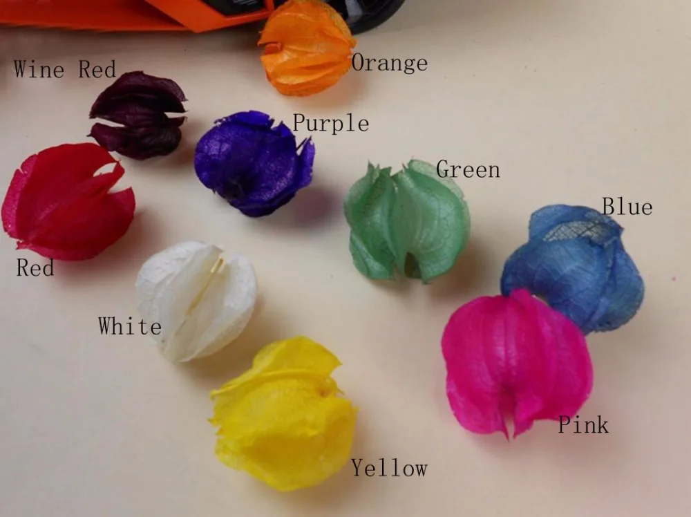 100 шт. букет из гусиных ягод| |