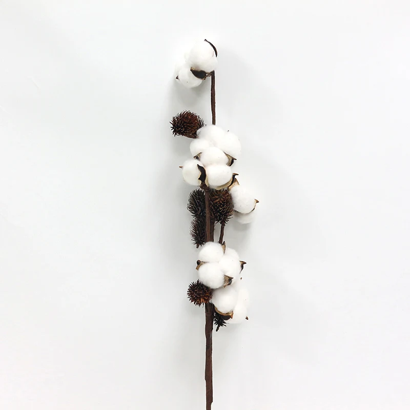 b 5 видов Натуральные Сушеные хлопковые цветы искусственные растения Цветочная ветка для свадебной вечеринки Декоративные искусственные цветы домашний декор - Цвет: b