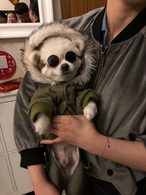 ReVarious кошка очки солнцезащитные для женщин в стиле ретро классный Кот смешной