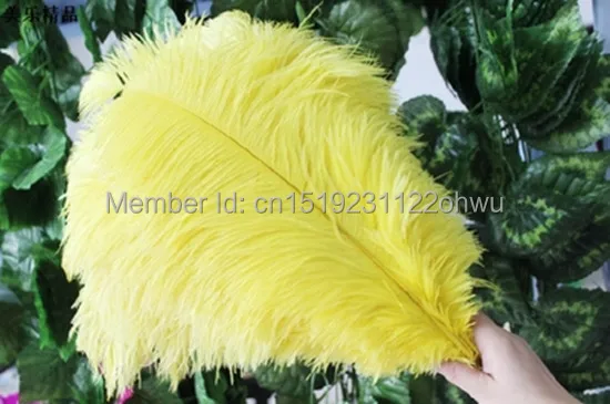 

natural yellow ostrich feather 45-50 cm / 18 to20 inches 50 pcs ostrich feather for wedding decorations high quality plume