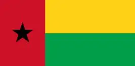 

Guinea-Bissau Flags Wholesale Lot of 10 PCS National Polyester Banner150* 90cm 3ft x 5ft All over the world outdoor