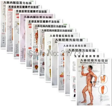 16 диаграмм здоровья в Китае ~ человеческие пункты меридиана руки и ноги