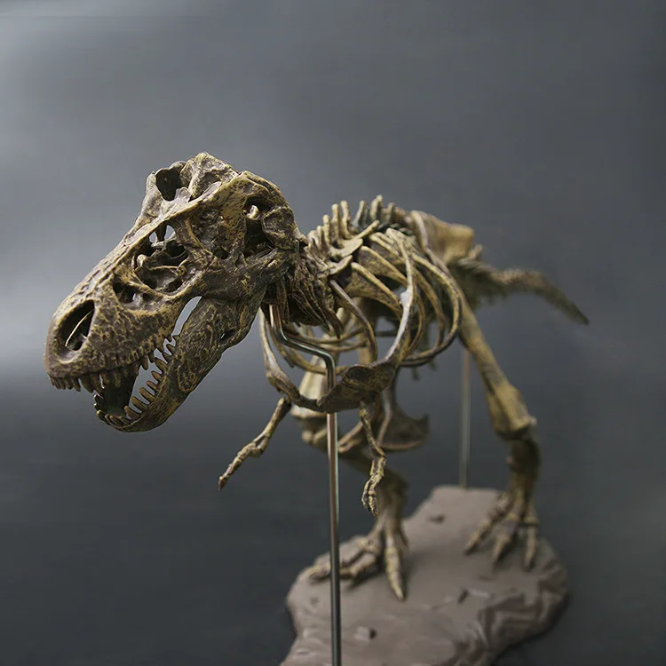 70 см динозавр 4D Собранный костный Дракон детская игрушка тираннозавр ископаемый