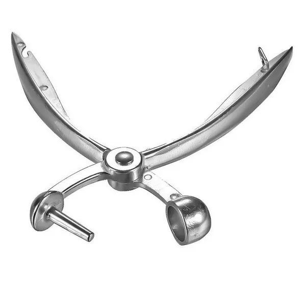 1Pcs Easy Removal Core Squeeze Clamp Seeder Cherry Pitters Aluminum Dates Olives Pit F2175 | Дом и сад