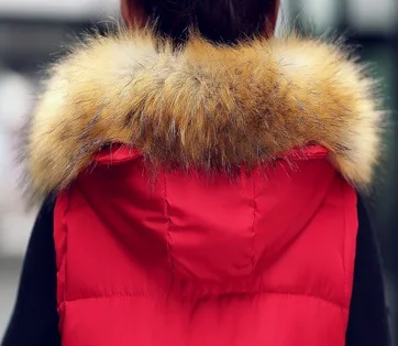 Ватная куртка женская 2017 жилет с капюшоном средней длины хлопковой подкладкой