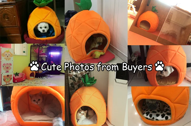 2 Размеры креативные милые высоком Класс прекрасный собака лежака ананас кровать