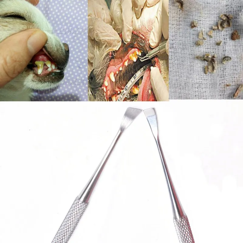 

Double-head Cat Dog Teeth Cleaning Tool Tartar Remover Stick Tooth Care Dental Calculus Removal Tooth Scraper for Pet Cat Dog