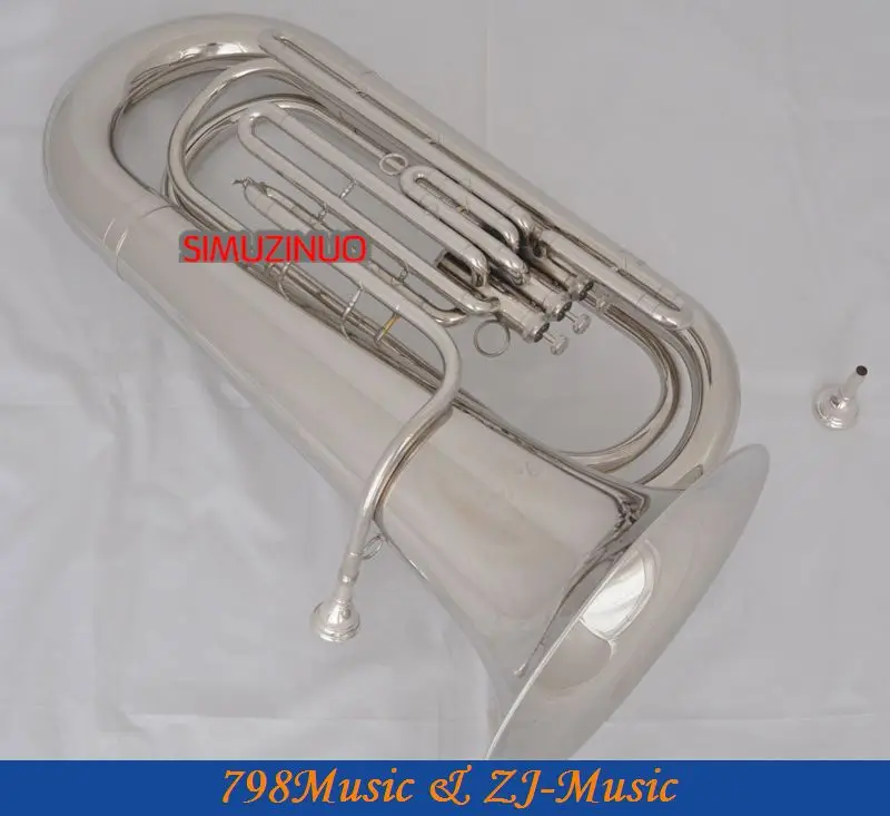 Рисунок 5 - Профессиональный никелевый посеребренный