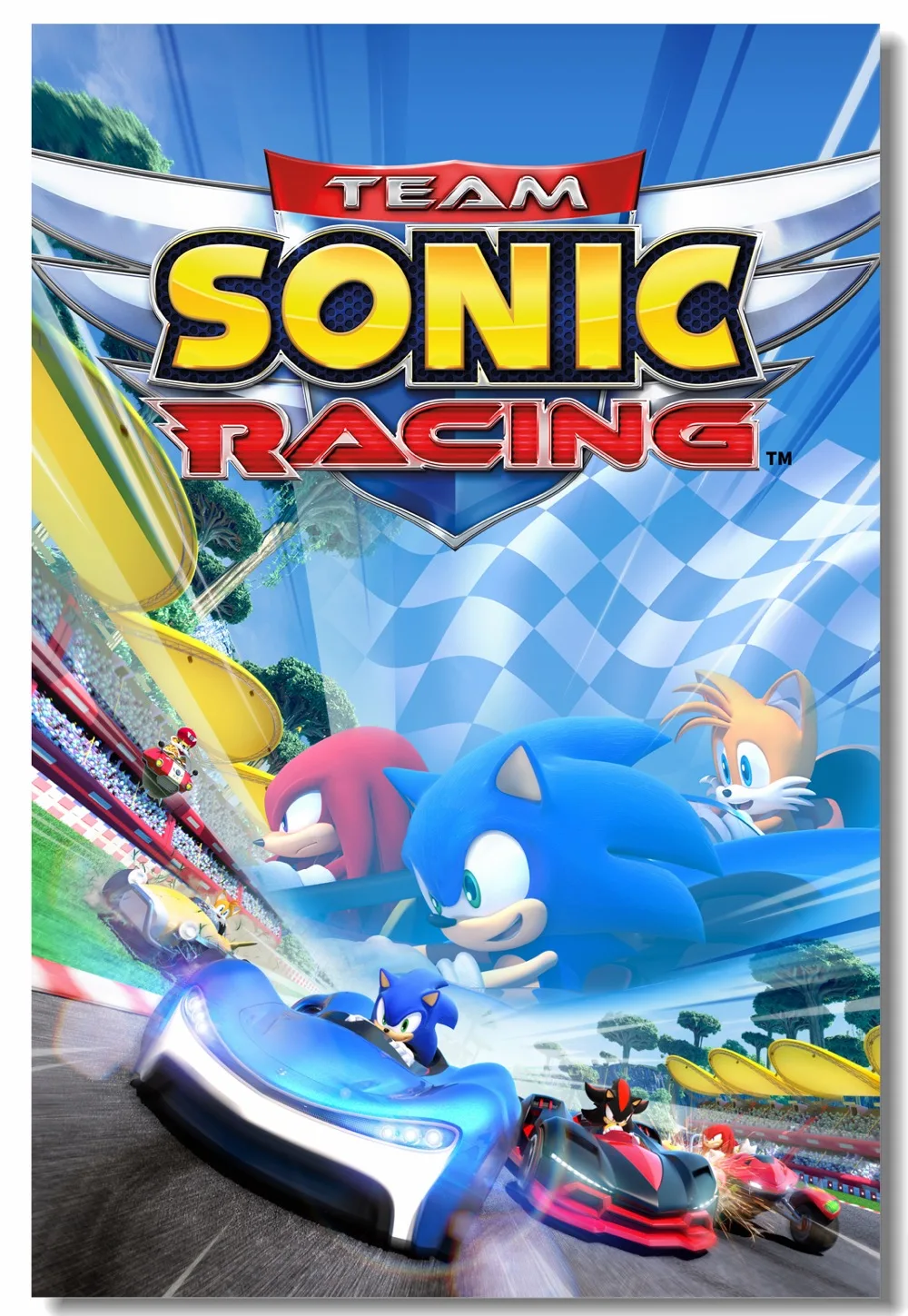 Custom Canvas Wall Decor Sonic Boom Poster Team Racing Stickers Super Mario Anime Game Wallpaper Kids Gifts #0503# | Дом и сад