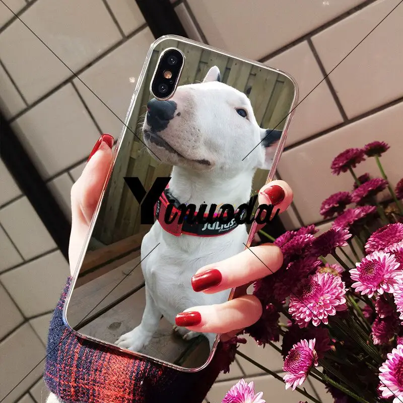 Yinuoda бультерьер собака DIY Окрашенные аксессуары для телефона чехол Apple iPhone 8 7 6 6S Plus