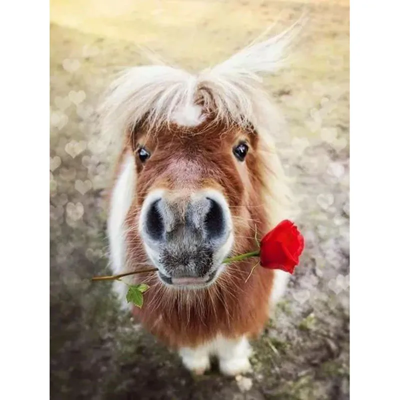 5d diy full square drill diamond painting handcraft work-Horse rose-embroidery Realshining cross stitch rhinestone mosaic | Дом и сад