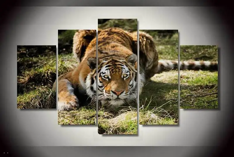 Hd печатная картина в виде джунглей с изображением тигра на холсте украшение