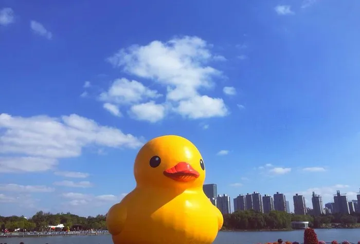 

4 Meters Rubber Yellow Duck Free Shipping