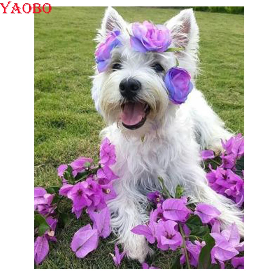 40x50 см DIY Алмазная вышивка крестиком westie Алмазная вышивка собаки 5D полная квадратная круглая дрель мозаика домашний Декор животное