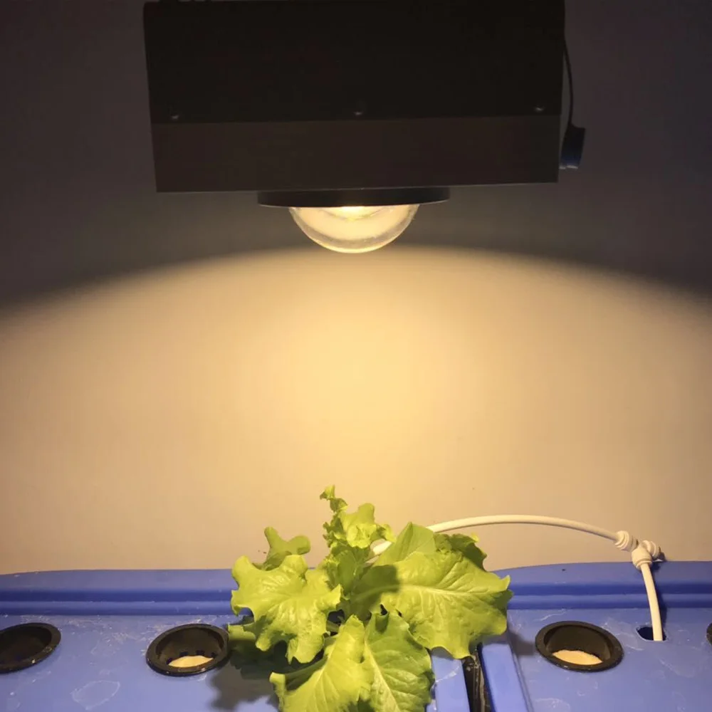 AYNHUI 2019 Spider Eshine System полный спектр Crees Cxb3590 гидропоники Cob Led Grow Light|Промышленные