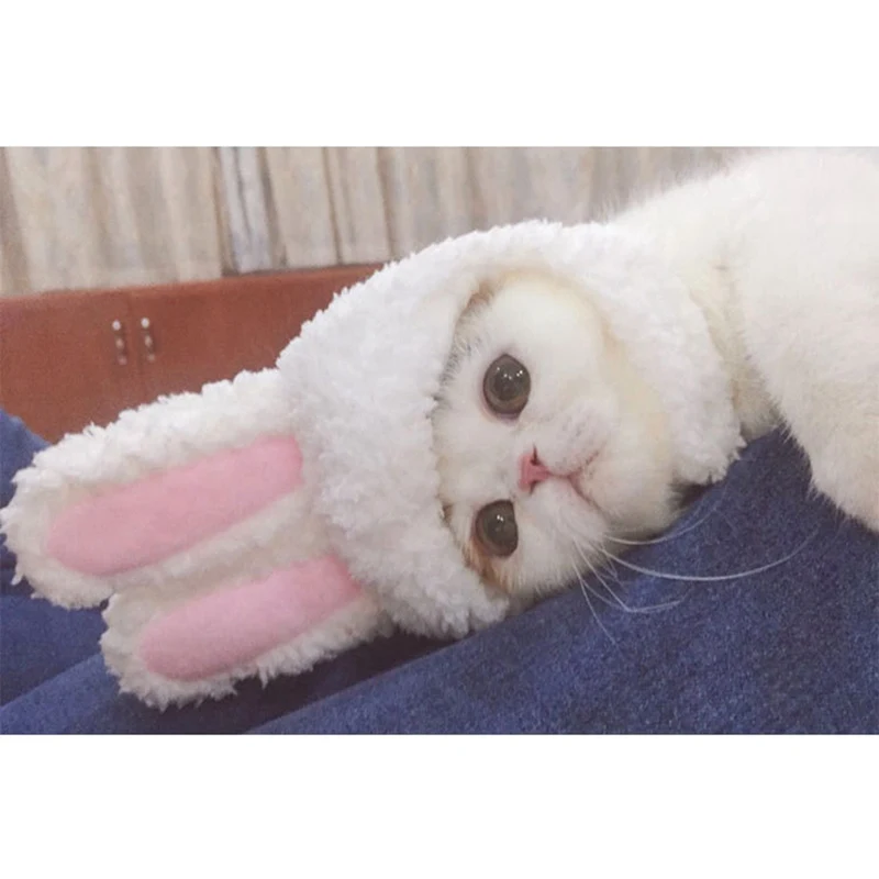 Забавные мультяшные костюмы для собак и кошек, белый кролик с ушами, шапка в форме собаки, котенка, повязка на глаза для косплея, головные уборы