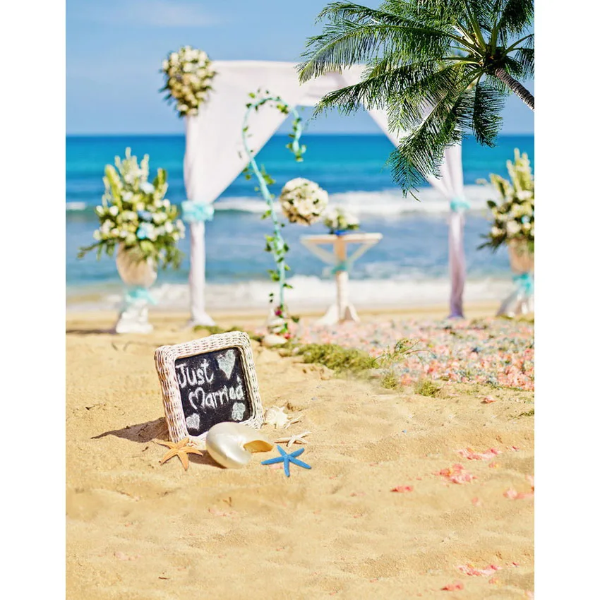 

TR 6x10ft thin vinyl wedding photography backdrop Sea beach blue sky backgrounds for photo studio flower door wedding background