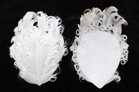 wholesale free shipping 10pcs curly feather pads white