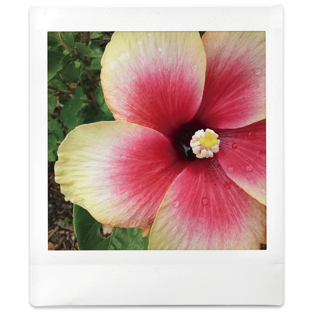 Квадратная пленка 30 листов белая краевая фотобумага для Fujifilm Instax SQUARE SQ6 SQ10 SQ20