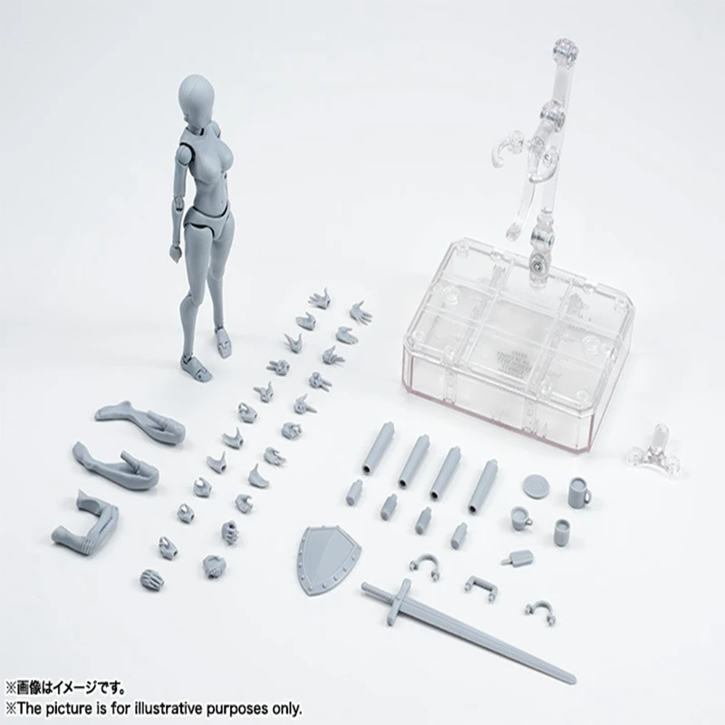 Archetype He She Ferrite Figma подвижное тело SHF Figma Feminino Kun Body Chan ПВХ фигурка Коллекционная модель кукла подарок для мальчика