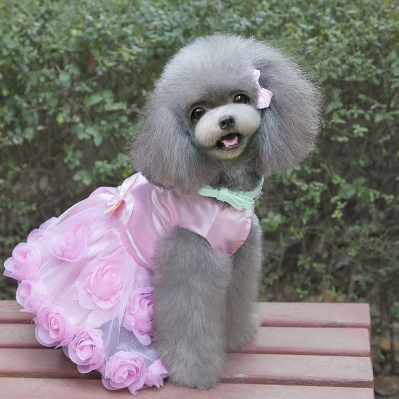 2016 платье для собак новейшие дизайнерские кружевные платья домашних животных