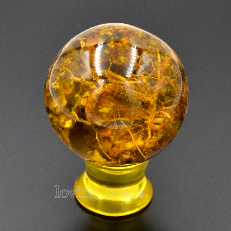 2 шт. 48 мм синтетический Настоящий скорпион декоративные камни круглые шар