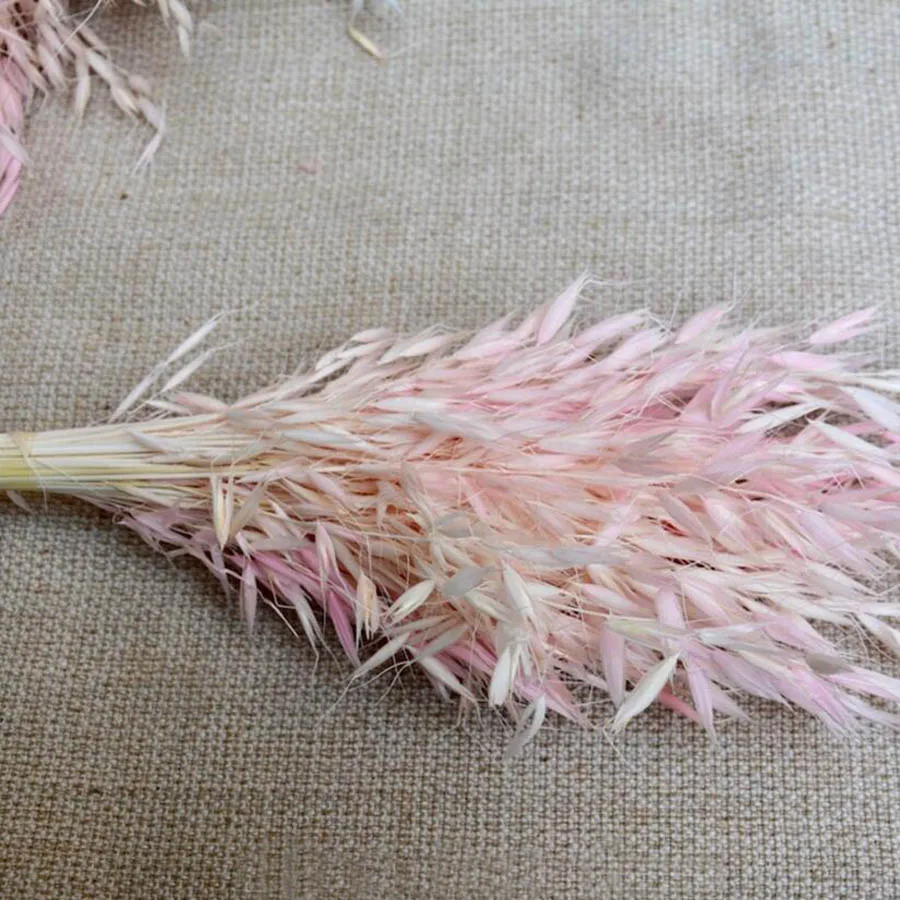 Букет высушенных аванты посевного L. Цветок для рукоделия Подарочный материал