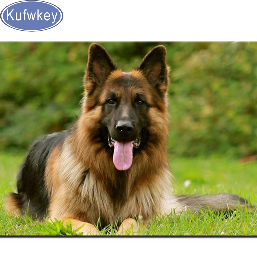 Алмазная вышивка 5D сделай сам животное немецкая овчарка алмазная живопись на