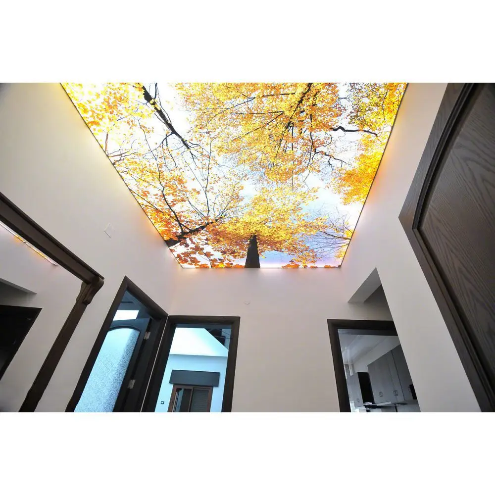 Самая низкая прозрачность ПВХ натяжной потолок цена декоративная пленка для