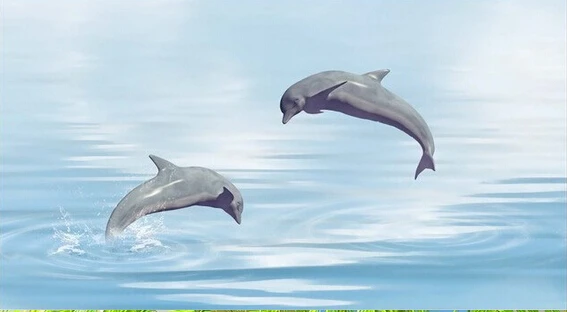 Фотообои на заказ 3D фоновые настенные водонепроницаемые обои с изображением