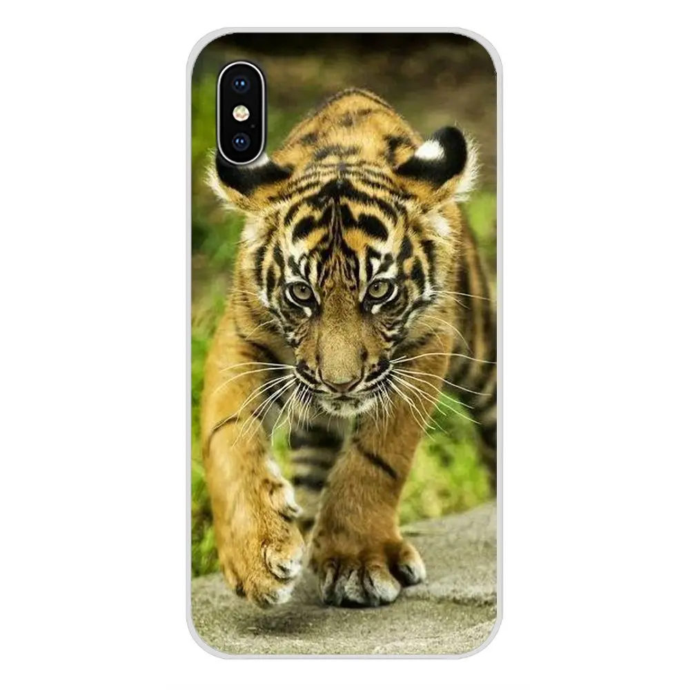 Для Xiaomi Redmi 4A S2 Note 3 3S 4 4X 5 Plus 6 7 6A Pro Pocophone F1 animal tiger Cub аксессуары чехлы для