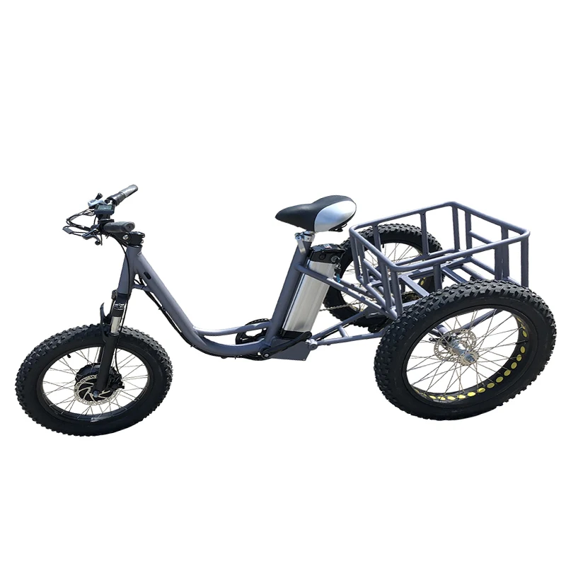 250W 350W 500W электрический трехколесный скутер с 36V10A литий Батарея бесщеточный Шестерни мотор для центрального движения 3-х колесный Электрический Снежный велосипед новое поступление