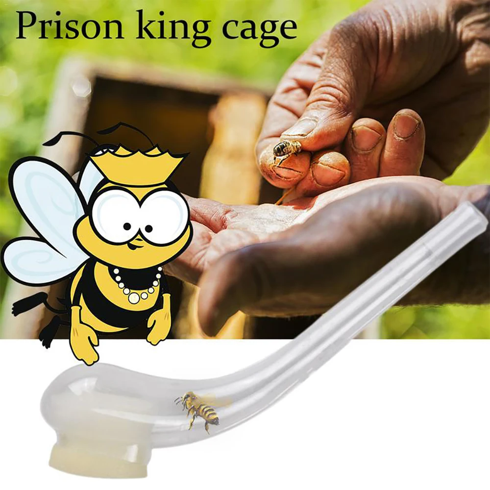 8 шт. queen Bee King Catcher Rearing пластиковая ловля табачной трубы Priosn клетка тип клетки
