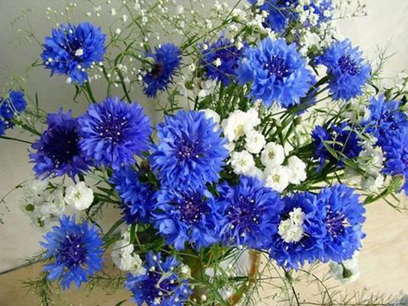 GLymg Image Cornflower Diy Diamond Embroidery Of 5D Painting Handicrafts Wall Art Decor | Дом и сад